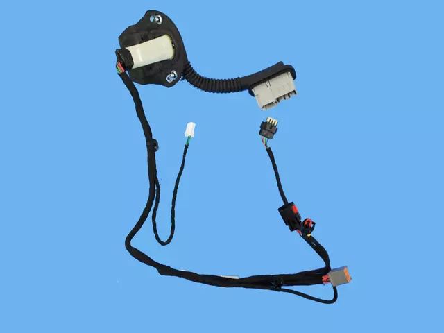 Rear Door Wiring, Right