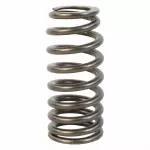 Valve Springs