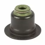 Valve Seals