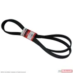 Motorcraft™ Serpentine Belt