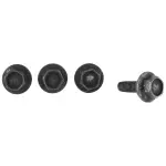 License Bracket Screw