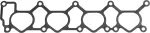 Manifold Gasket
