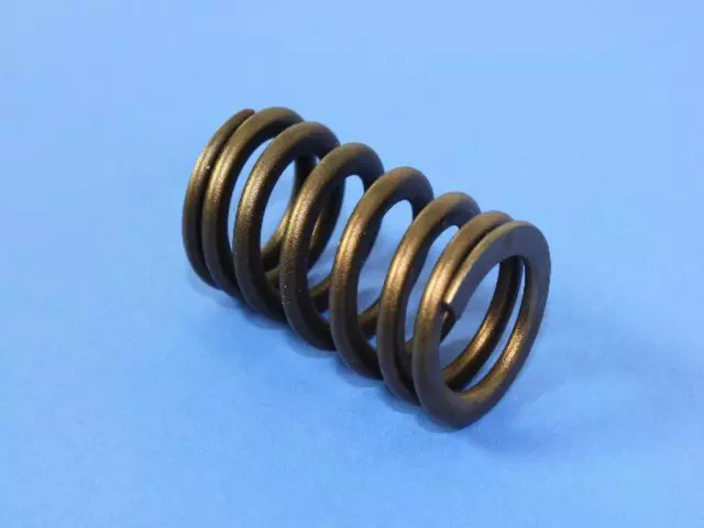 Valve Spring
