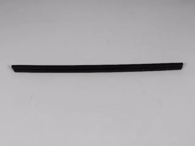 Front Door Belt Inner Weatherstrip, Left