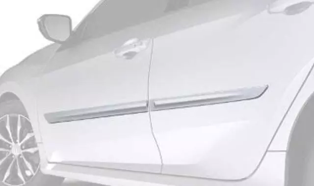 Body Side Molding - Lunar Silver Metallic