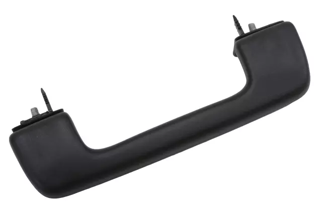 Jet Black Roof Rail Assist Handle
