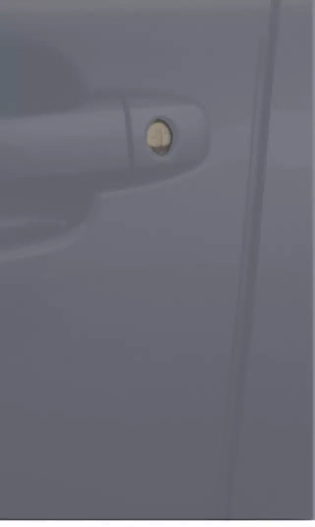 Door Edge Guard Kit - Magnetite Gray Metallic