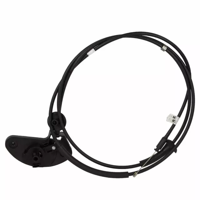 Channel s High5 5’4” Race Tech Nitrogen Valve Assembly Kit SPNV 0512, Engine - Amazon