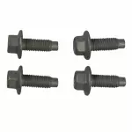 Mount Bracket Screw