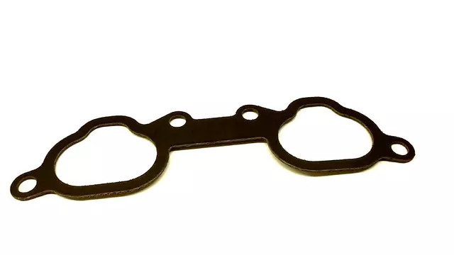 Manifold Gasket