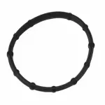 Separator Gasket