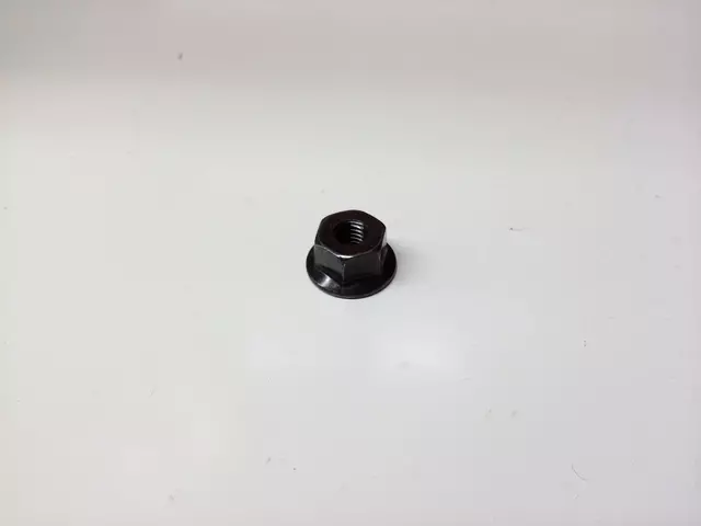 Combo Lamp Assembly Nut
