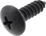 Glove Box Screw