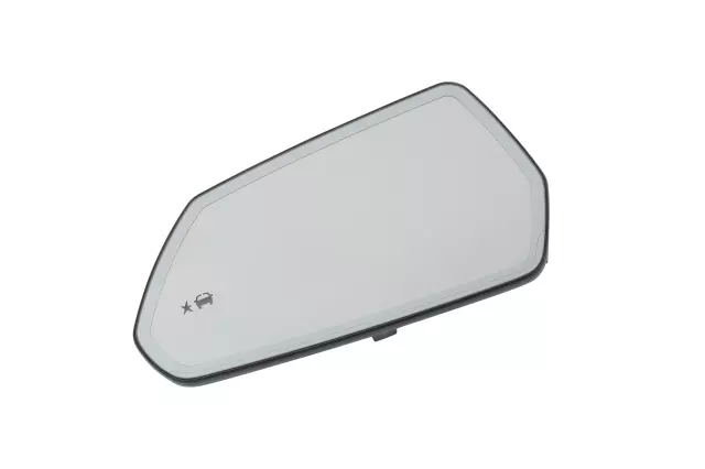 Driver Side Door Mirror with Glass and Backing Plate