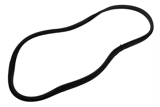 Rear Side Door Weatherstrip