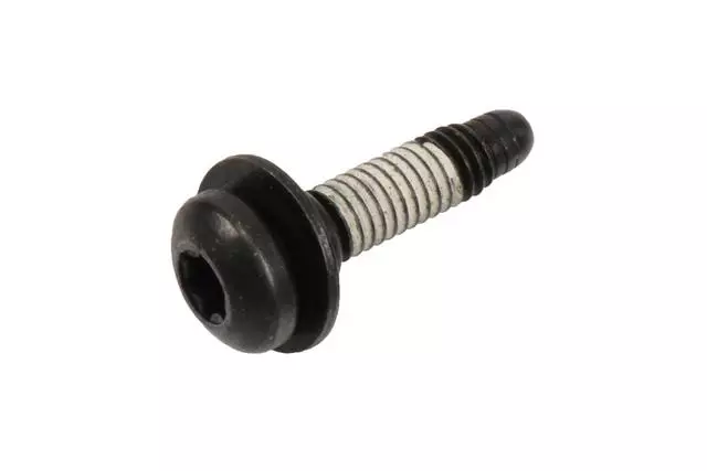 Rear Molding Screw
