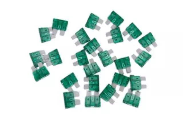 1988-2025 GM - 30 Amp Automotive Fuse