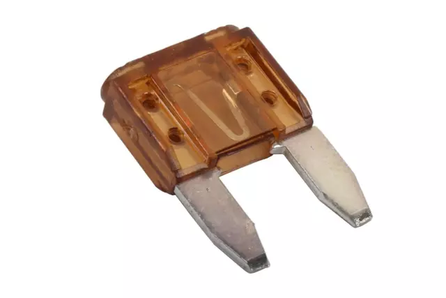 5 Amp Automotive Mini Fuse