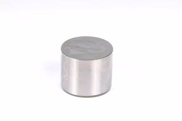 Engine Hydraulic Valve Adjuster/Valve Lifter - GM (94858937)