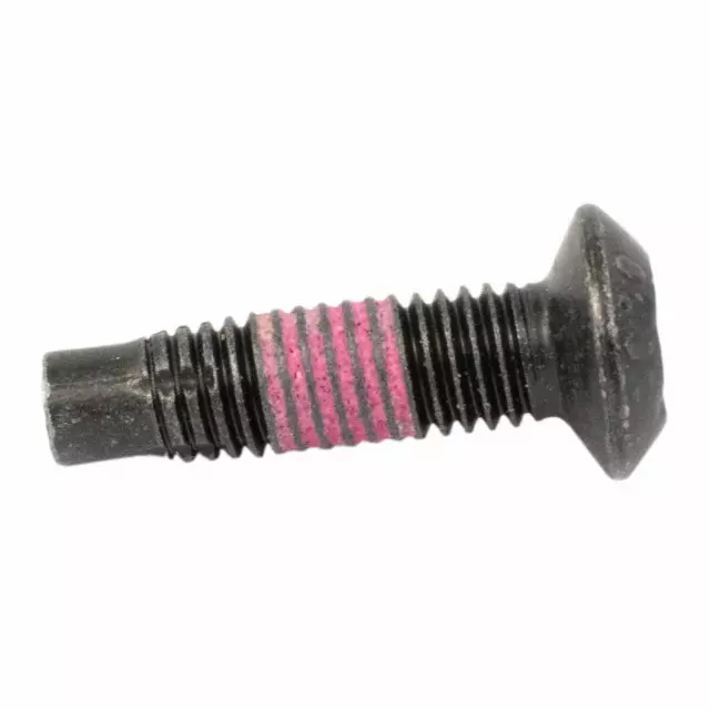 Door Check Bolt