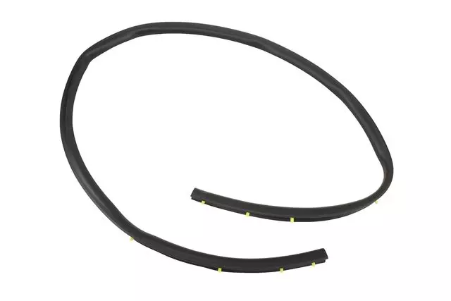 Front and Rear Driver Side Door Lower Weatherstrip