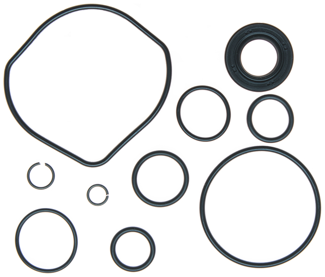 Power Steering Pump Seal Kit with Seals and ORings 19295790