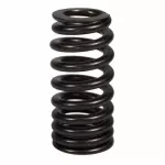 Valve Springs