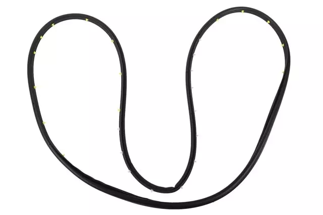 Driver Side Front Door Weatherstrip