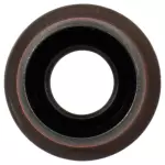 Manual Shaft Seal