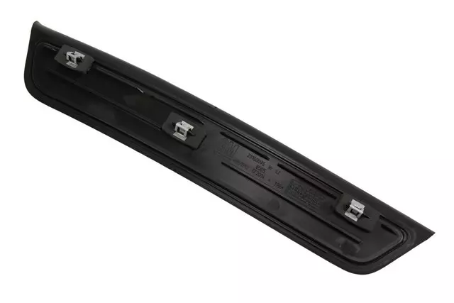 Driver Side Rear Door Sill Trim Plate