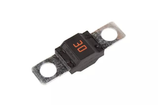 30 AMP Fuse