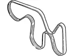 Serpentine Belt