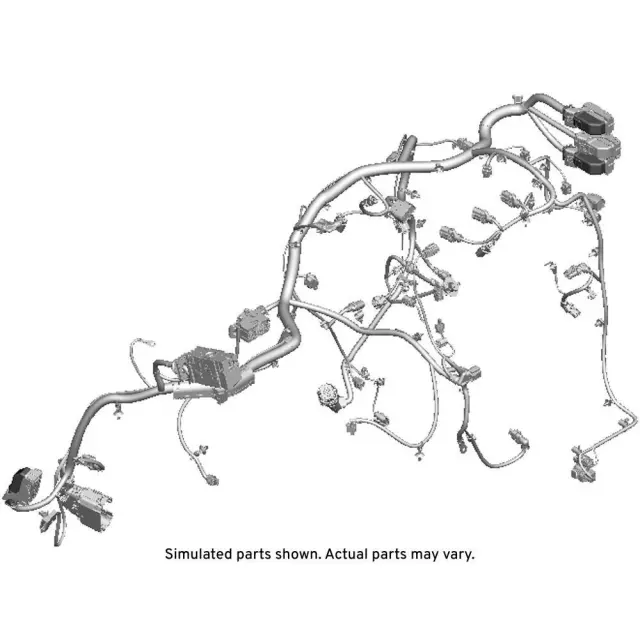 Engine Wiring Harness