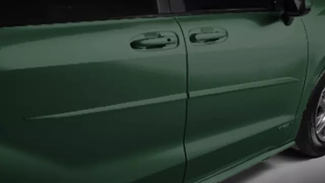 Body Side Molding, Cypress