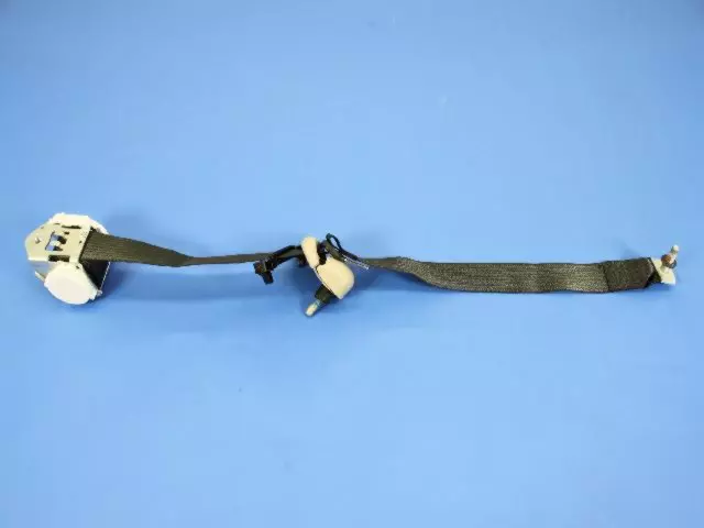 Rear Outer Seat Belt