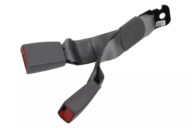 Dark Ash Gray Rear Seat Belt with Buckle