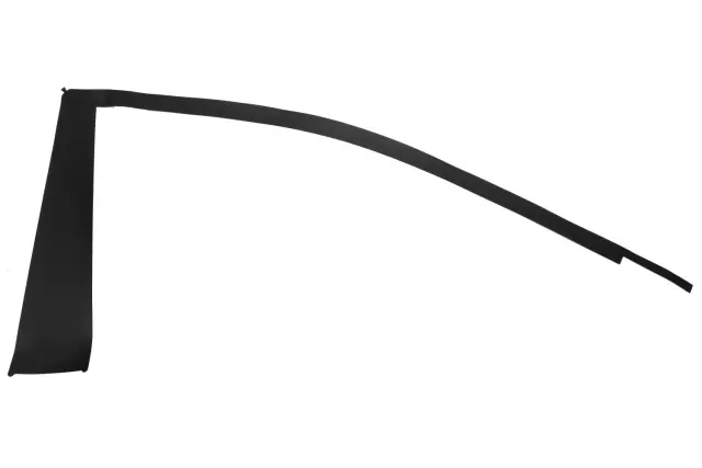 Passenger Side Front Door Window Frame Front Blackout Tape