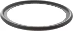Oil Cooler O-Ring
