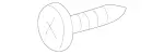 Tapping Screw