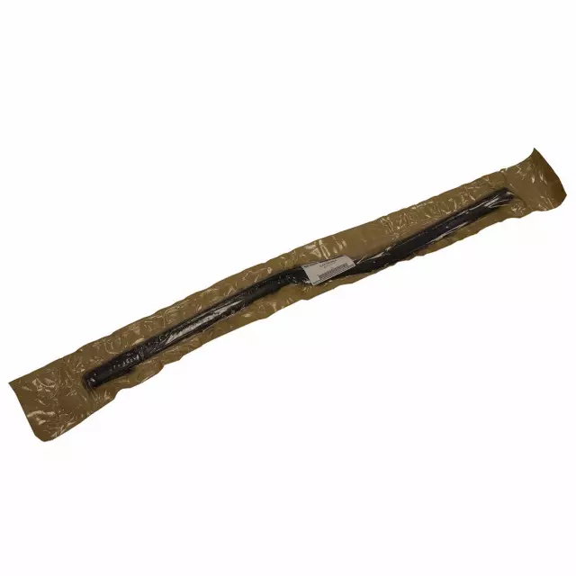 6L3Z1821452A Ford | Door Belt Molding Window Weatherstrip