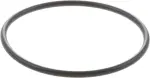 Engine Water Pump O-Ring