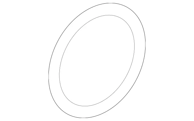 Elastomeric Molded Seal                 