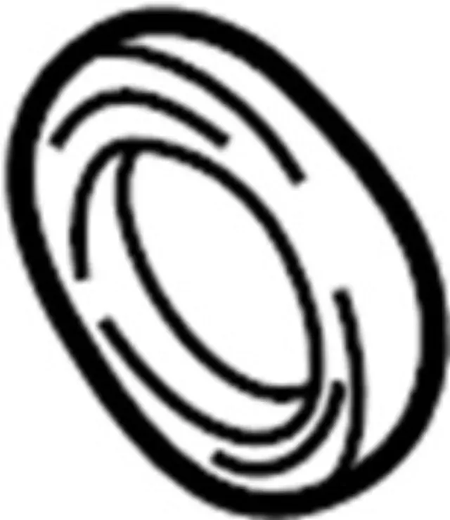 Engine Crankshaft Seal