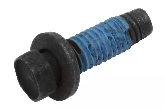 Door Check Bolt