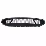 Bumper Grille