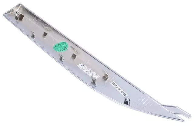 Rear Driver Side Door Molding Insert