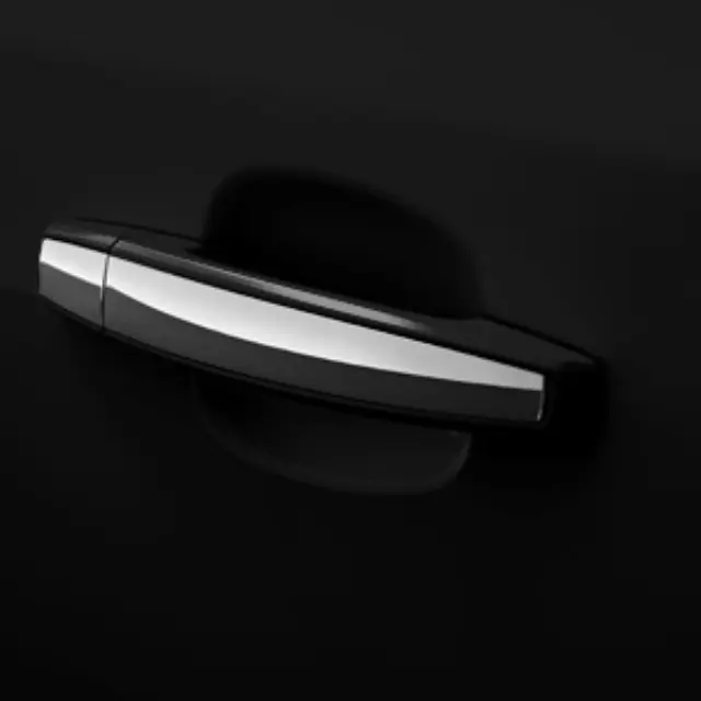 Door Handles, W\\/Chrome