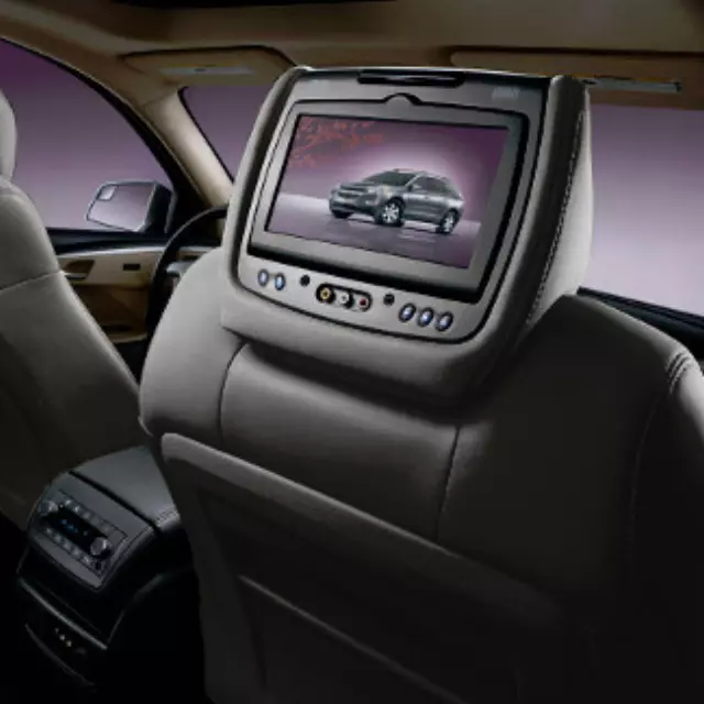 Headrest and Video Screen Assembly