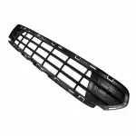 Bumper Grille
