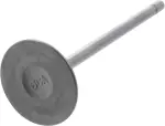 Intake Valve